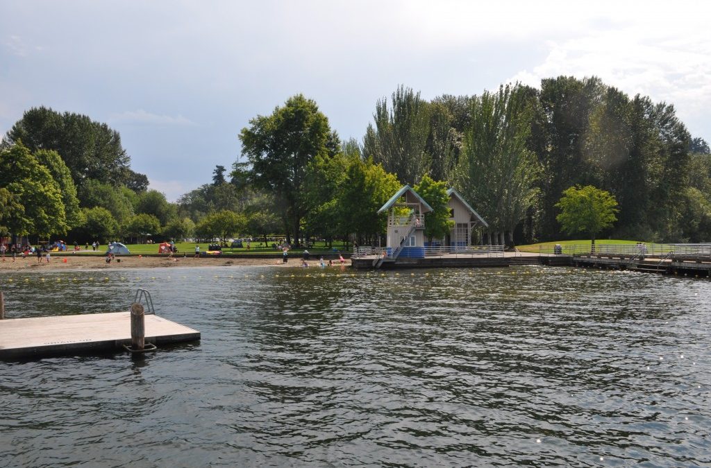 Discover a Hidden Gem at Newcastle Beach Park: Where Nature Meets Recreation on the Shores of Lake Washington