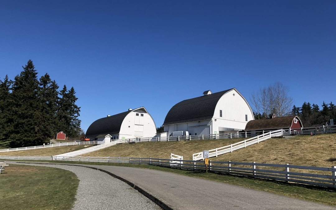 Escape to a Tranquil Oasis: Exploring Kelsey Creek Park & Farm in Bellevue, WA