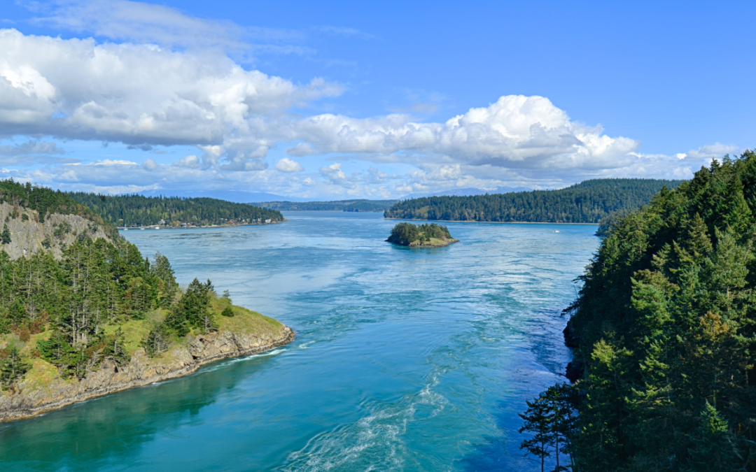 Bellevue: Your Perfect Base for Adventure to Deception Pass and Beyond