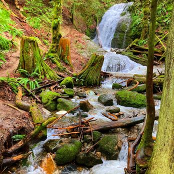 A Family-Friendly Autumn Adventure at Coal Creek Falls Sky Country