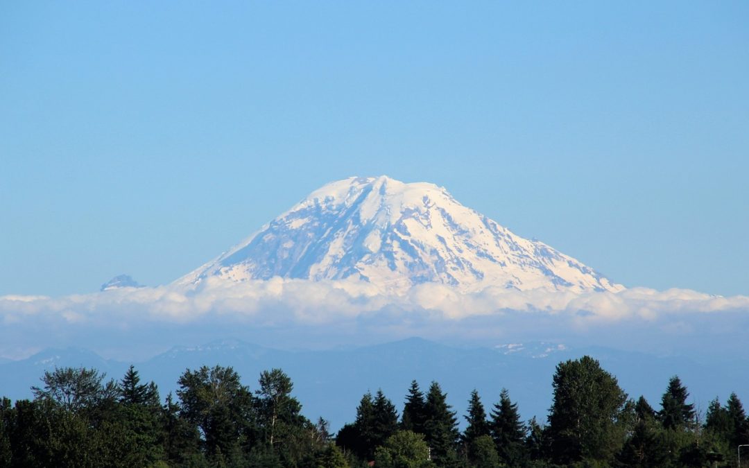 Early Settlement to Modern Metropolis: The Evolution of Bellevue, Washington