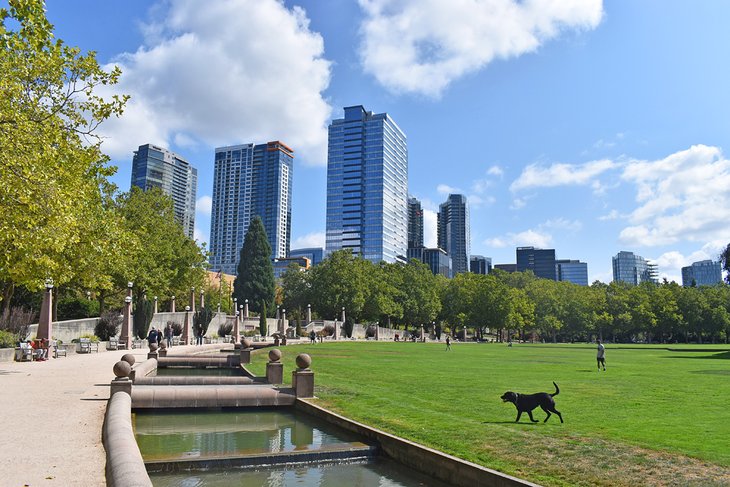 Bellevue, Washington: A City of Beauty, Culture, and Community